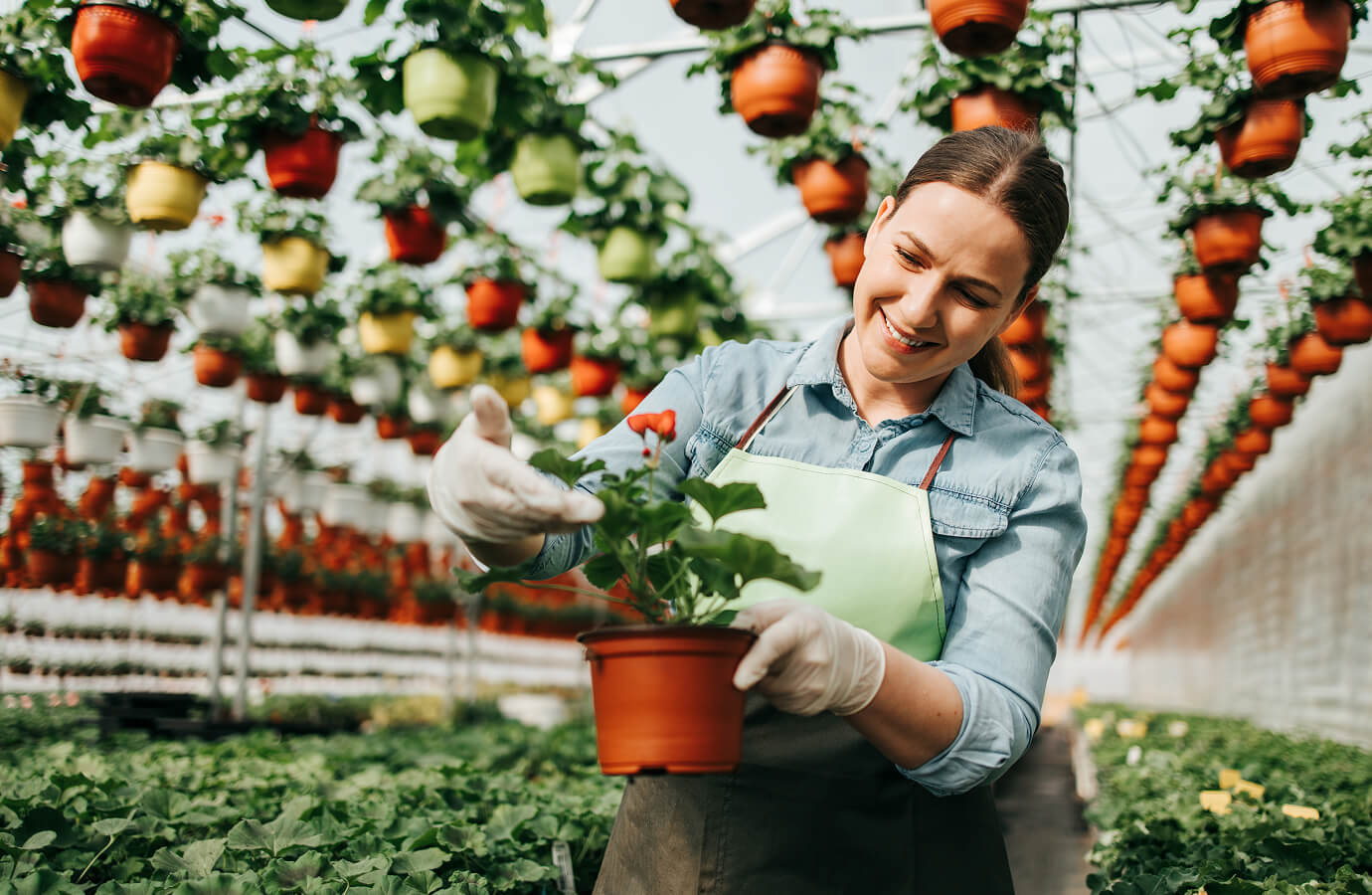 Mobility And Machinery Powering Modern Agriculture
