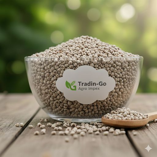 Pearl Millet (Bajra)