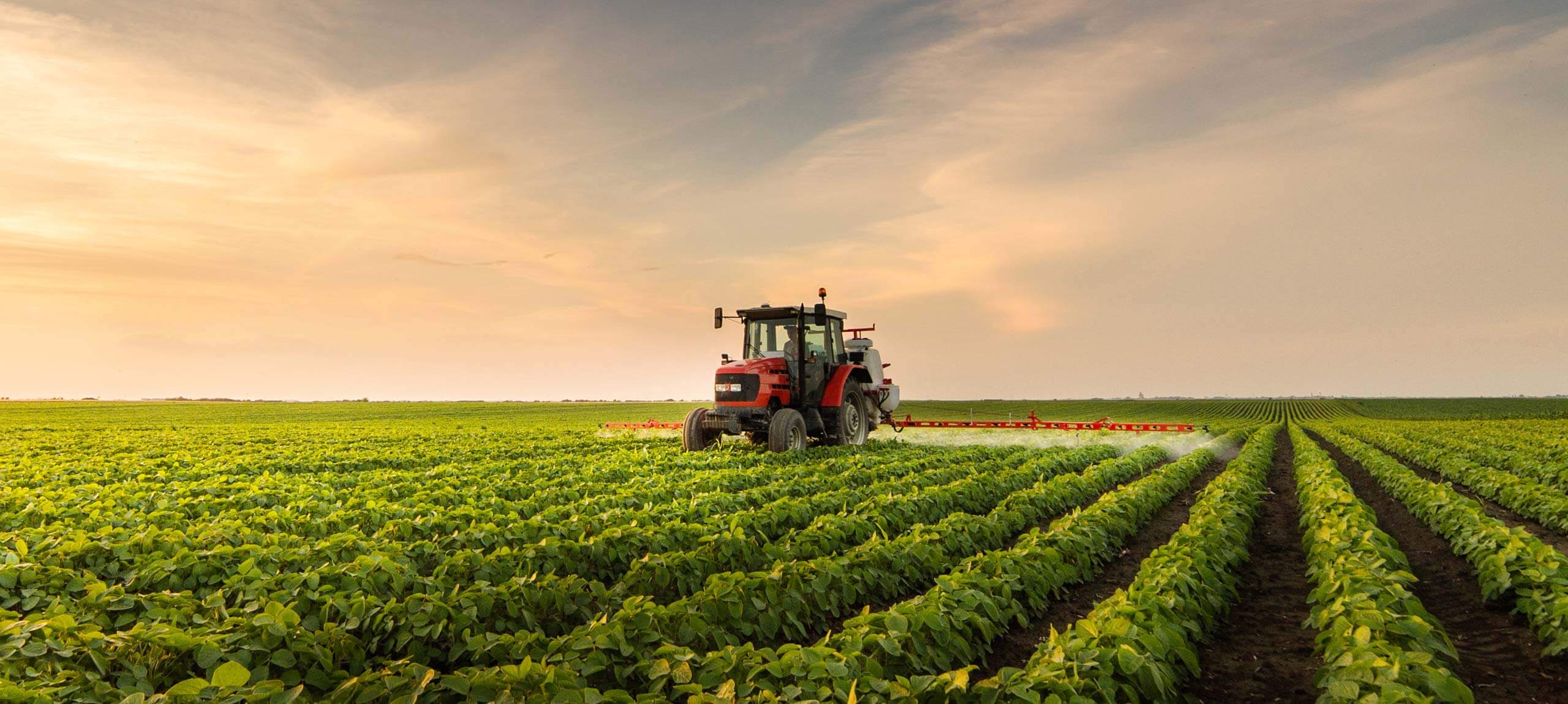 Reliable Supply Of Agricultural Commodities